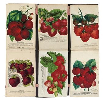 (BOTANICAL--HORTICULTURAL--CATALOG.) Vredenburg & Co. Travelling salesmans catalog of fruit, flowers, and trees.